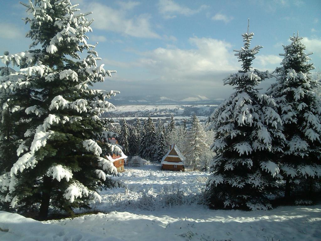 Panorama Tatr Hotel Закопане Екстериор снимка