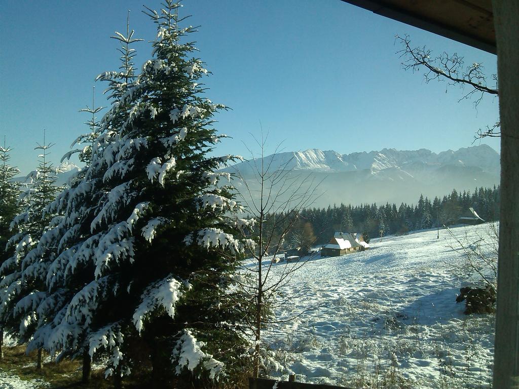 Panorama Tatr Hotel Закопане Екстериор снимка
